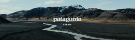A Salmon Nation: Patagonia’s Purpose-Driven Storytelling